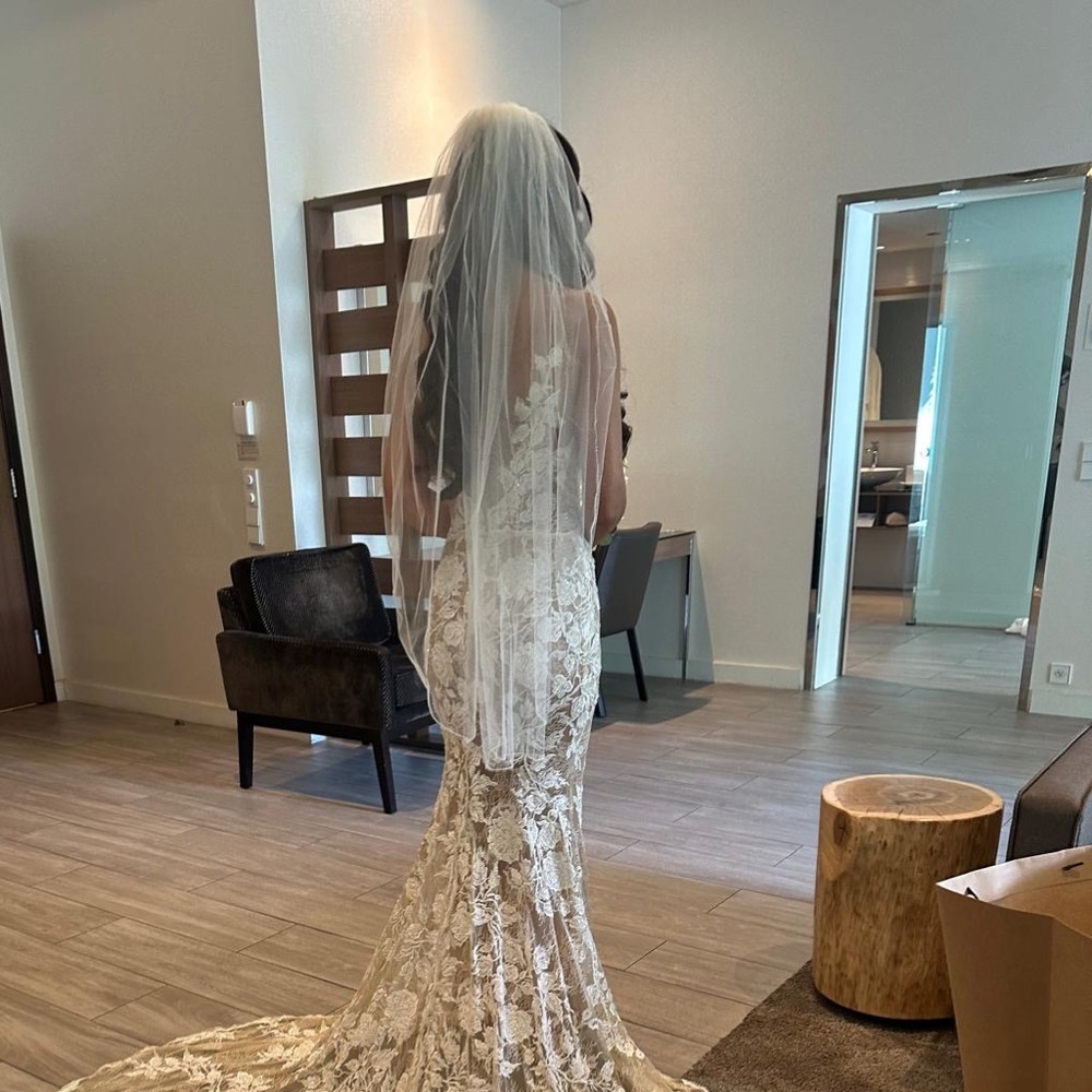 David’s Bridal Veil - Picture 6 of 9
